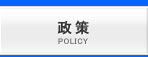 政策